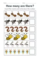 Vorschau - Lehrpläne/Lehrermaterial - Insects | Zählen / Count - auf Englisch “How many?” - Seite 2