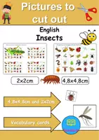 Vorschau - Mal- und Bastelvorlagen - Vokabelbilder Insects - Bildkarten Englisch - Deckblatt