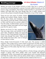 Vorschau - Arbeitsblätter - All About Whales : Reading Comprehension and Word search with Answers.. 3rd, 4th, 5th grade - Seite 1