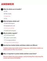 Vorschau - Arbeitsblätter - All About Whales : Reading Comprehension and Word search with Answers.. 3rd, 4th, 5th grade - Seite 3