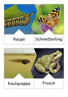 Vorschau - Spiele - Jungtiere im Frühling - Legepuzzles - Seite 1