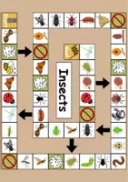 Vorschau - Spiele - Boardgame: Insects | Brettspiel Englisch - Seite 1