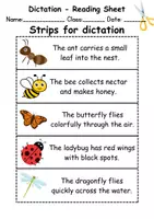 Vorschau - Test - GRATIS - Dictate Insects - Englisch Ditkat - Seite 1