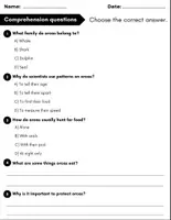 Vorschau - Arbeitsblätter - All About Orcas : Reading Comprehension and Word search with Answers.. 3rd, 4th, 5th grade. - Seite 2