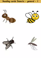 Vorschau - Spiele - Lesekarten/Bildkarten - Insects (Easy) - Englisch - Seite 1