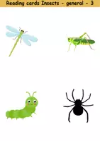 Vorschau - Spiele - Lesekarten/Bildkarten - Insects (Easy) - Englisch - Seite 3