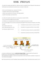 Aperçu - Outils du professeur - le cahier de progrès et les compétences - Page 2