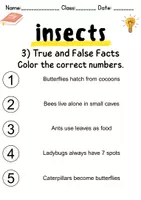 Vorschau - Mal- und Bastelvorlagen - Insects: Reading comprehension & vocabulary - Englisch - Seite 3