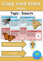 Vorschau - Unterrichtsreihen - Copy card index / Abschreibkarten: Insects - Englisch - Deckblatt