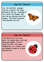 Vorschau - Unterrichtsreihen - Copy card index / Abschreibkarten: Insects - Englisch - Seite 2