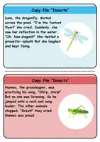 Vorschau - Unterrichtsreihen - Copy card index / Abschreibkarten: Insects - Englisch - Seite 3