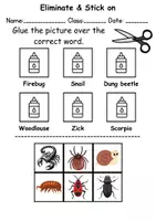 Vorschau - Arbeitsblätter - Stick pictures in the Stick pictures in the right place: Insects - Englisch (Schneiden und Kleben) - Seite 1