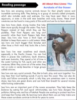Vorschau - Arbeitsblätter - All About Sea Lions: Reading Comprehension and Word search with Answers.. 3rd, 4th, 5th grade. - Seite 1