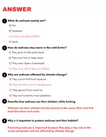Vorschau - Arbeitsblätter - All About Walruses: Reading Comprehension and Word search with Answers.. 3rd, 4th, 5th grade. - Seite 3