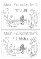 Vorschau - Arbeitsblätter - Forscherheft Frühblüher - handgezeichnet - Seite 1