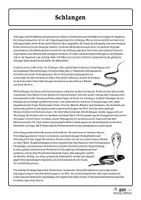 Vorschau - Arbeitsblätter - Lerntheke Schlangen - Schlangen-Spiral-Rätsel - Kornnatter (Erarbeitung) - Seite 2