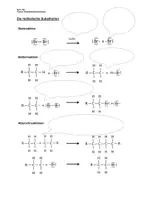 Vorschau - Arbeitsblätter - Arbeitsmaterial Drei Reaktionsmechanismen im Vergleich (bearbeitbar) - Seite 3