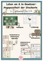 Vorschau - Arbeitsblätter - Angepasstheit der Stockente: Experimente (auch für BUV/Lehrprobe) - Deckblatt