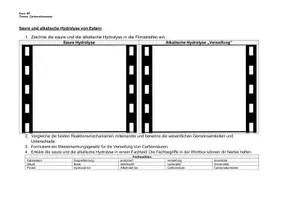 Vorschau - Arbeitsblätter - Arbeitsblatt: Verseifung / Hydrolyse von Estern (bearbeitbar) - Deckblatt