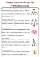 Vorschau - Arbeitsblätter - Unsere Sinne- Einfürhung | Unterrichtsreihe "Unsere Sinne", Biologie 5./6. Klasse - Seite 3