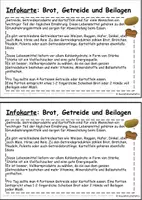 Vorschau - Arbeitsblätter - Arbeitsblatt und Infokarte Ernährungspyramide Lebensmittelgruppe Brot, Getreide und Beilagen - Seite 1
