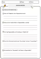 Vorschau - Arbeitsblätter - Bogenschiessen Arbeitsblätter mit Fragen + Lösungen Sport Lesetext - Seite 3