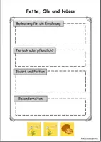 Vorschau - Arbeitsblätter - Arbeitsblatt und Infokarte Ernährungspyramide Lebensmittelgruppe Fette, Öle und Nüsse - Deckblatt
