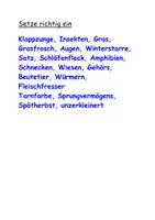 Vorschau - Arbeitsblätter - Lückentext: Der Grasfrosch - Seite 1