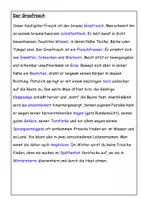 Vorschau - Arbeitsblätter - Lückentext: Der Grasfrosch - Seite 2