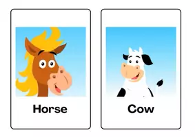 Voorbeeld - Engelse flashcard over boederijdieren - Voorblad
