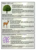 Vorschau - Spiele - Materialpaket Ökologie - Biomino - Seite 2