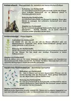 Vorschau - Spiele - Materialpaket Ökologie - Biomino - Seite 3