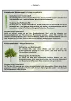 Vorschau - Arbeitsblätter - Kohlenstoffkreislauf Rollenspiel - Biomino - Seite 3