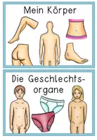 Vorschau - Präsentationen/Tafelbilder - Sexualerziehung / Sexuelle Bildung - Reihentransparenz für die Unterrichtsreihe - Seite 3
