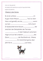 Vorschau - Stundenentwürfe - LESEN: Miezos in der Sonne - Lesequiz, Lückentext..... - Seite 2