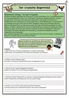 Vorschau - Arbeitsblätter - Arbeitsheft "Leben im tropischen Regenwald" - Seite 2