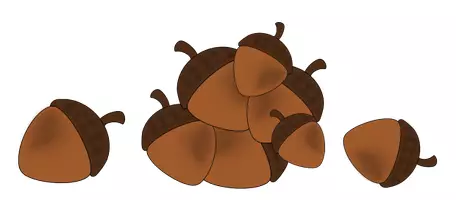 Vorschau - selbst erstellte Cliparts/Grafiken - Eichhörnchen Clipart Basis Set - Seite 3