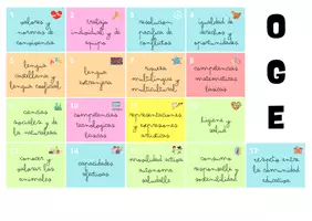 Vista previa - Tarjetas / Manipulativos - OBJETIVOS GENERALES DE ETAPA OPOSICIONES - página 2