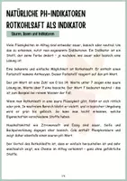 Vorschau - Arbeitsblätter - Rotkohlsaft als Indikator - Säuren und Laugen - Seite 1