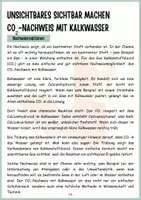 Vorschau - Arbeitsblätter - Protokoll CO2-Nachweis mit Kalkwasser - Seite 1
