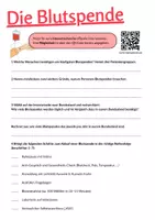 Vorschau - Stundenentwürfe - Unterrichtsstunde: Internetrecherche zur Blutspende (Biologie 7./8. Kl.) - Seite 2
