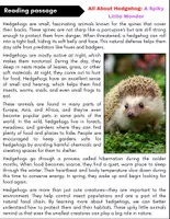 Vorschau - Arbeitsblätter - All About Hedgehog: Reading Comprehension and Word search with Answers.. 3rd, 4th, 5th grade. - Seite 1