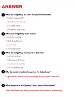 Vorschau - Arbeitsblätter - All About Hedgehog: Reading Comprehension and Word search with Answers.. 3rd, 4th, 5th grade. - Seite 3