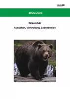 Vorschau - Arbeitsblätter - Braunbär - Arbeitsblätter und Lösung PDF - Deckblatt