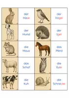 Vorschau - Spiele - Merk-es-dir! (Tiere), 2-fach differenziert - Seite 3