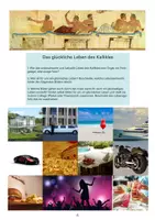 Vorschau - Unterrichtsreihen - Philosophie Arbeitsblätter, Glückseligkeit in der Antike, Das glückliche Leben des Kallikles in Platons Dialog "Gorgias" - Seite 3
