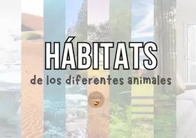 Vista previa - Unidades / Secuencias / Situaciones de Aprendizaje - Hábitats animales - Tesoros Brillantes - Portada