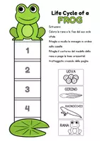 anteprima - Materiale di supporto/inclusione - Il Ciclo Vitale della Rana - Pagina 2