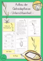 Vorschau - Stundenentwürfe - Getreide Aufbau Getreidepflanze Unterrichtseinheit - Deckblatt