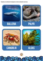 Vista previa - Unidades / Secuencias / Situaciones de Aprendizaje - Animales marinos - Tesoros Brillantes - página 3